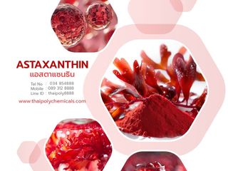 แอสตาแซนธิน, สารชะลอวัย, สารต้านอนุมูลอิสระ, Astaxanthin, An