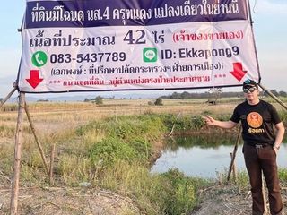 ด่วน ขายที่ดินแม่สอด-ห้วยกระโหลก 42 ไร่ ที่มีโฉนด นส.4