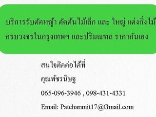 บริการรับตัดหญ้า ตัดต้นไม้เล็ก และ ใหญ่ แต่งกิ่งไม้ ครบวงจรใ