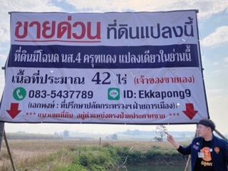 ด่วน ขายที่ดินแม่สอด-ห้วยกระโหลก 42 ไร่ ที่ดินมีโฉนด นส.4