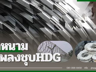 ลวดหนามหีบเพลง