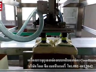 มีเครื่องบรรจุสินค้าลงกล่อง แบบหยิบลงกล่อง Cordinated Robot