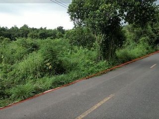 ขายที่ดินสวย ปราจีนบุรี 2 ไร่ 81 วา ติดถนนลาดยาง หน้ากว้าง