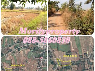 ขายที่ดิน ต.บ้านเป้า อ.เกษตรสมบูรณ์ จ.ชัยภูมิ