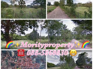 ขายที่ดิน ต.บ้านโคก อ.โคกโพธิ์ไชย จ.ขอนแก่น