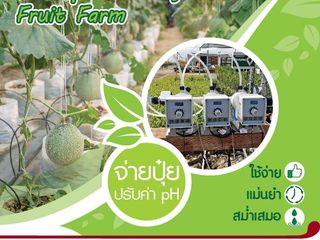 หาซื้อปั๊มฟีดเคมี ปั๊มจ่ายปุ๋ย ปั๊มติ๊ก Dosing Pump