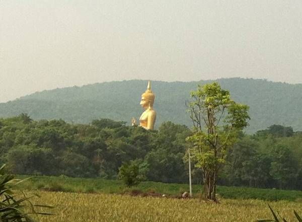 รูปภาพสินค้า