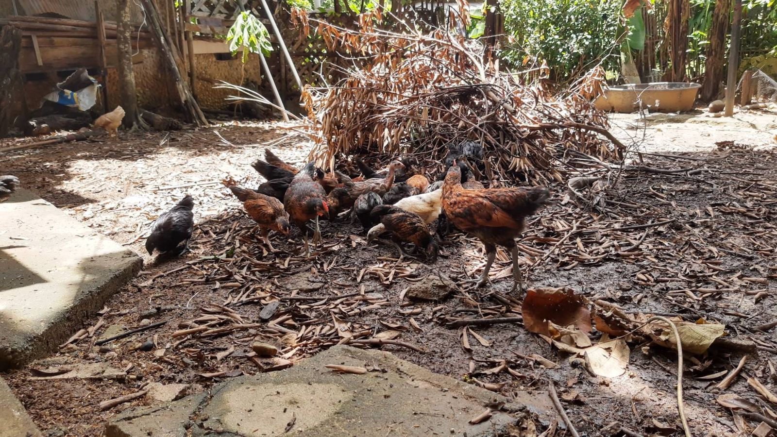 รูปภาพสินค้า