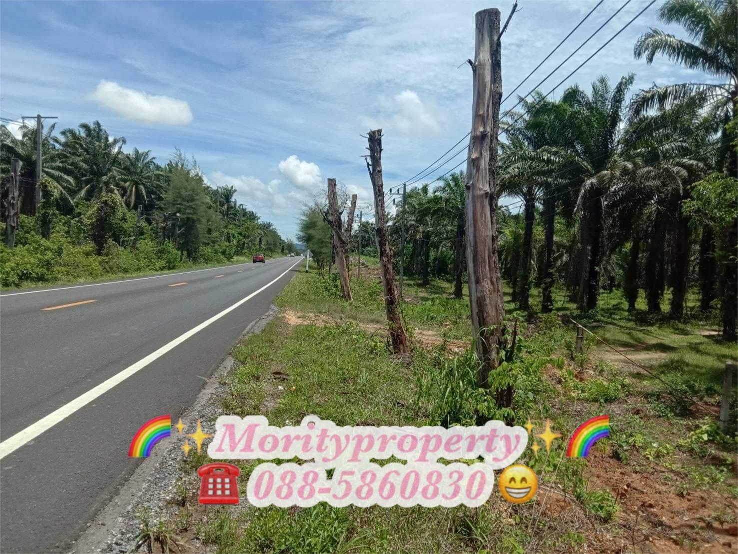 รูปภาพสินค้า