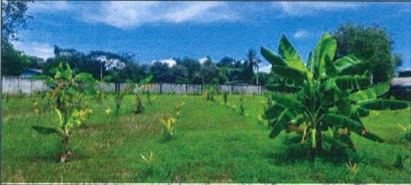 รูปภาพสินค้า