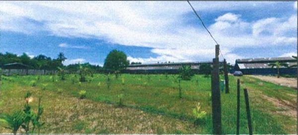 รูปภาพสินค้า