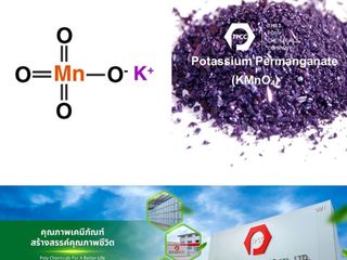 ด่างทับทิม, ขายด่างทับทิม, จำหน่ายด่างทับทิม, ผลิตด่างทับทิม