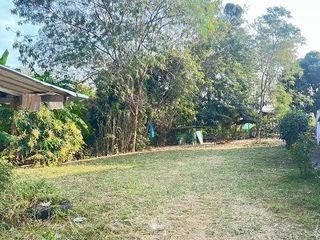 ขายที่ดินแปลงสวย เหมาะสำหรับปลูกบ้านหรือทำการค้า