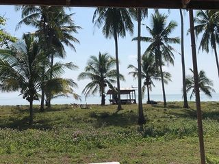 ขายที่ดินริมทะเล สุดพิเศษ -โอกาสการลงทุนที่คุณไม่ควรพลาด