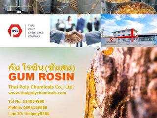 กัม โรซิน, ชันสน, Gum Rosin, ผลิตกัมโรซิน, จำหน่ายกัมโรซิน,