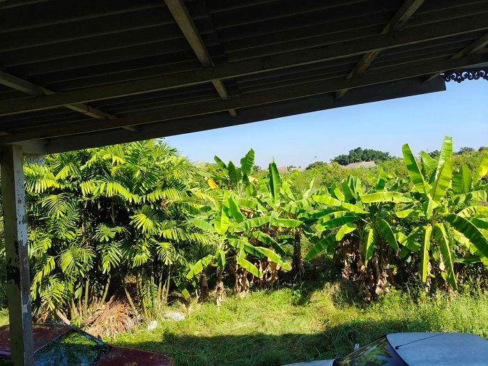 รูปภาพสินค้า