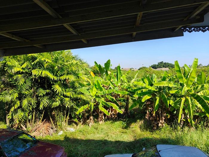 รูปภาพสินค้า