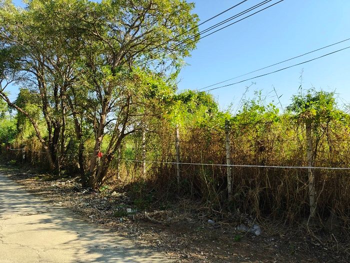 รูปภาพสินค้า