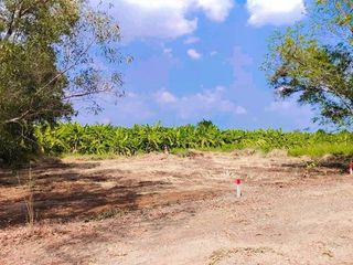 ขายด่วน ที่ดินหลังราชมงคล คลอง6 เนื้อที่ 50 ตรว. เเหล่งชุมชล