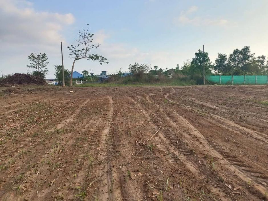 รูปภาพสินค้า