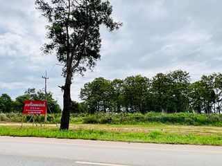 ขายที่ดิน อำเภอภูเรือ จังหวัดเลย 21 ไร่ 3 งาน 15 ตร.ว ติดถนน