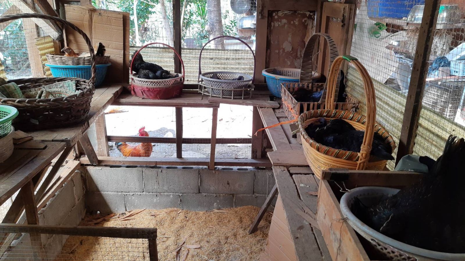 รูปภาพสินค้า