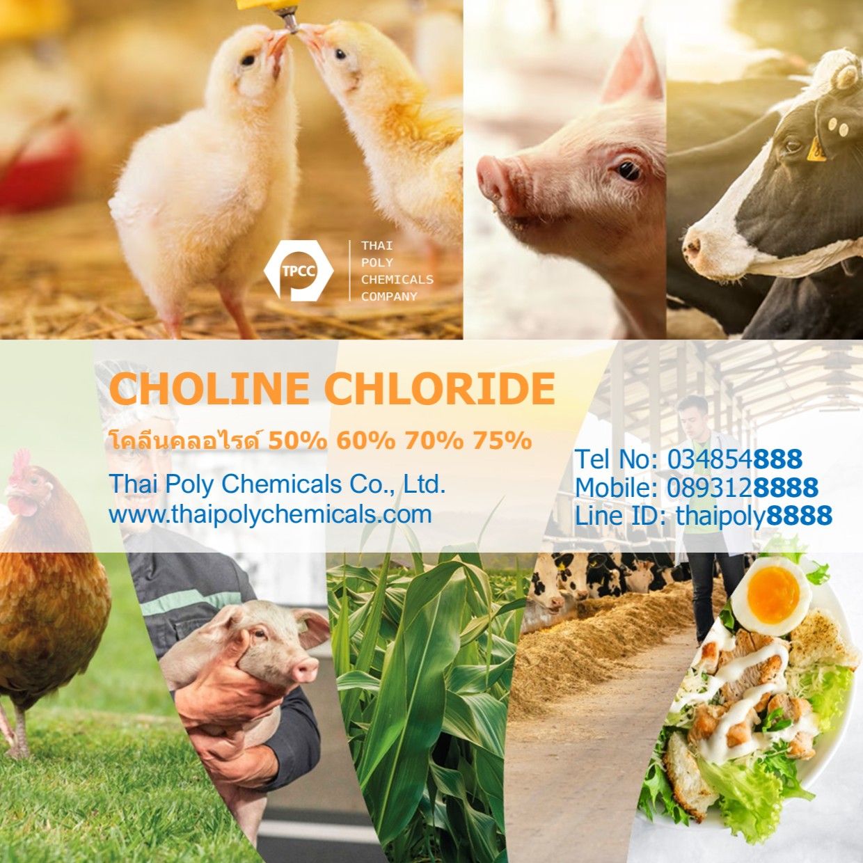 รูปภาพสินค้า