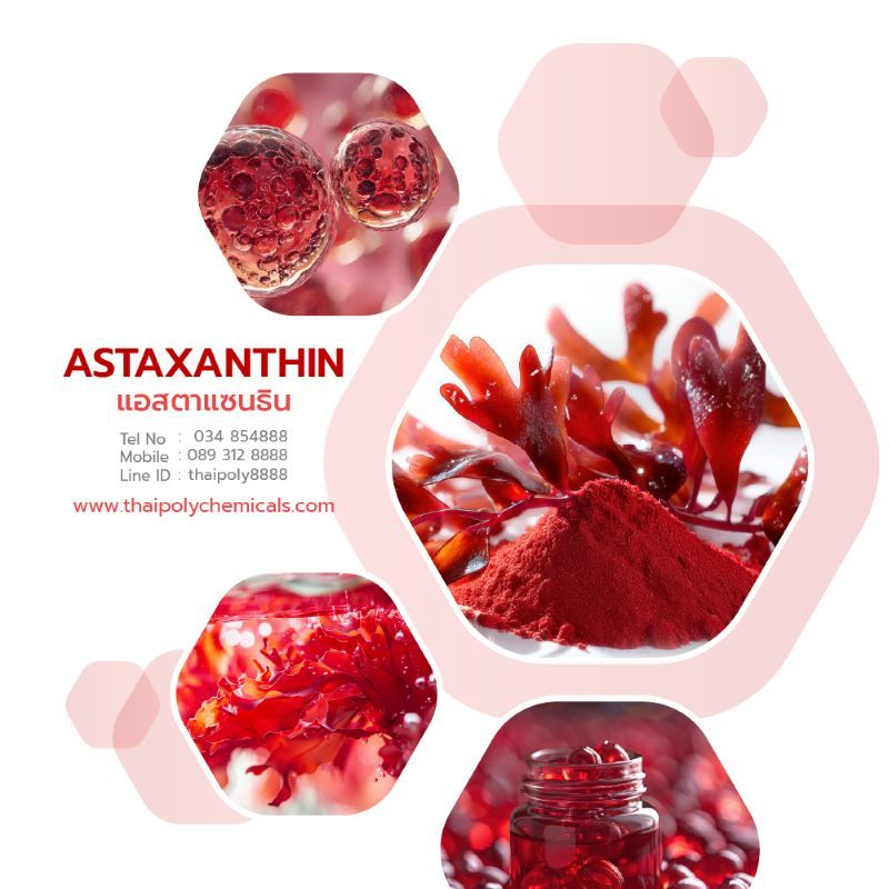 รูปภาพสินค้า