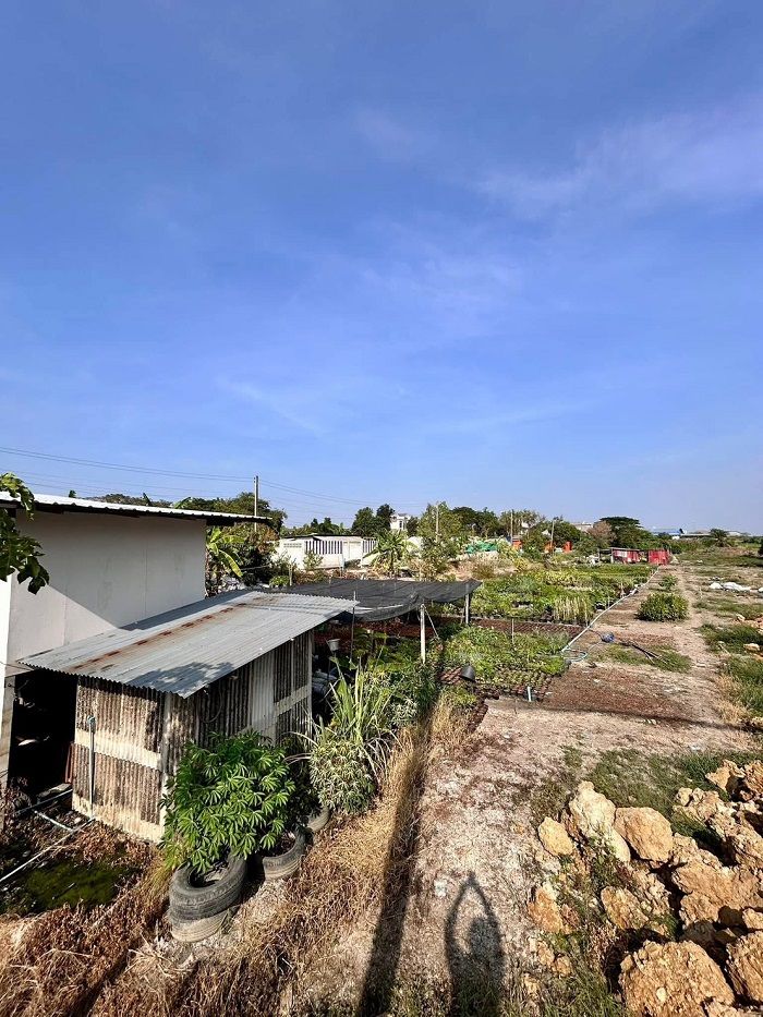 รูปภาพสินค้า