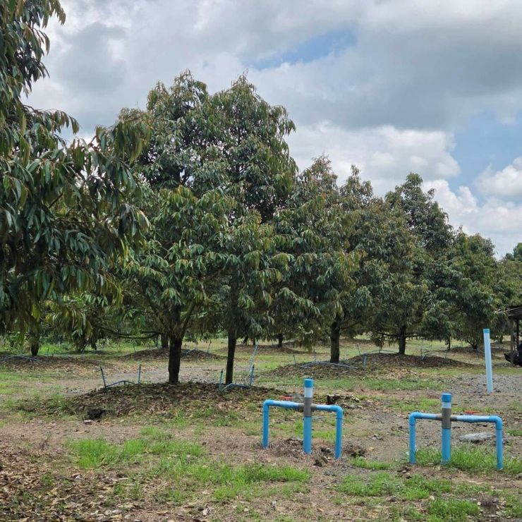 รูปภาพสินค้า