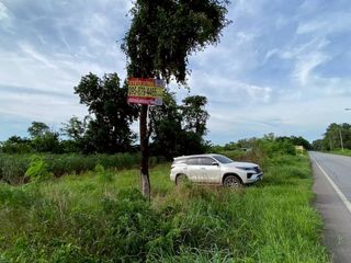 ขายถูกที่สุด ที่ดินติดถนนโนนไทย-ขามสะแกแสง 14-3-47 ไร่