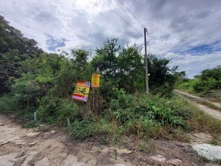 Vายถูกที่สุด ที่ดินบางเลน 772 ตารางวา(แบ่งครึ่งได้) ติดถนนคอ