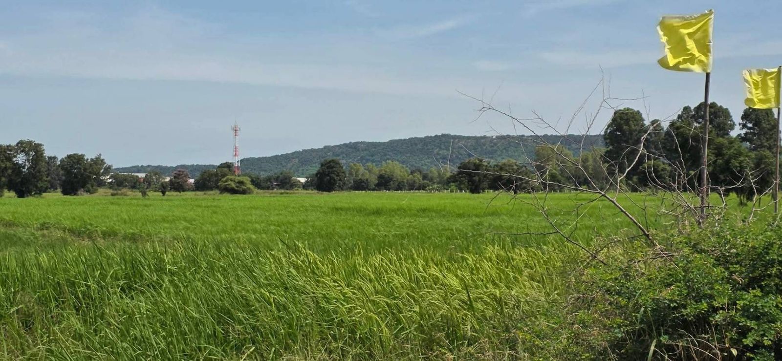 รูปภาพสินค้า