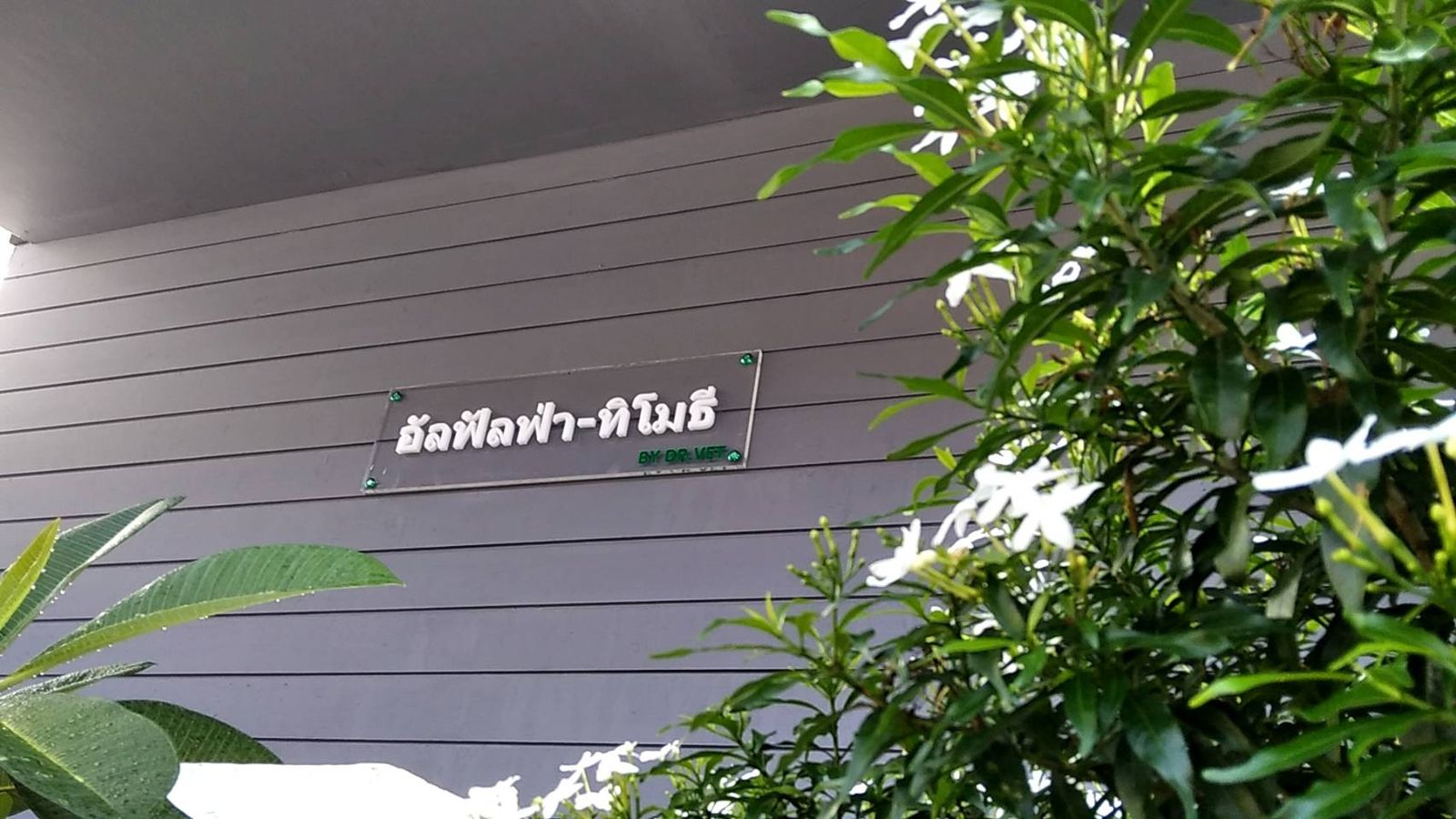 รูปภาพสินค้า