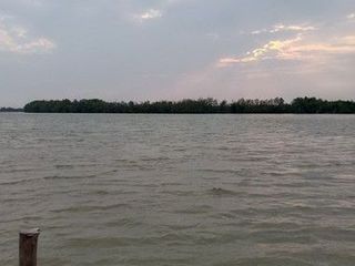 ขายที่ดินติดแม่น้ำบางปะกง อ.บ้านโพธิ์ จ.ฉะเชิงเทรา