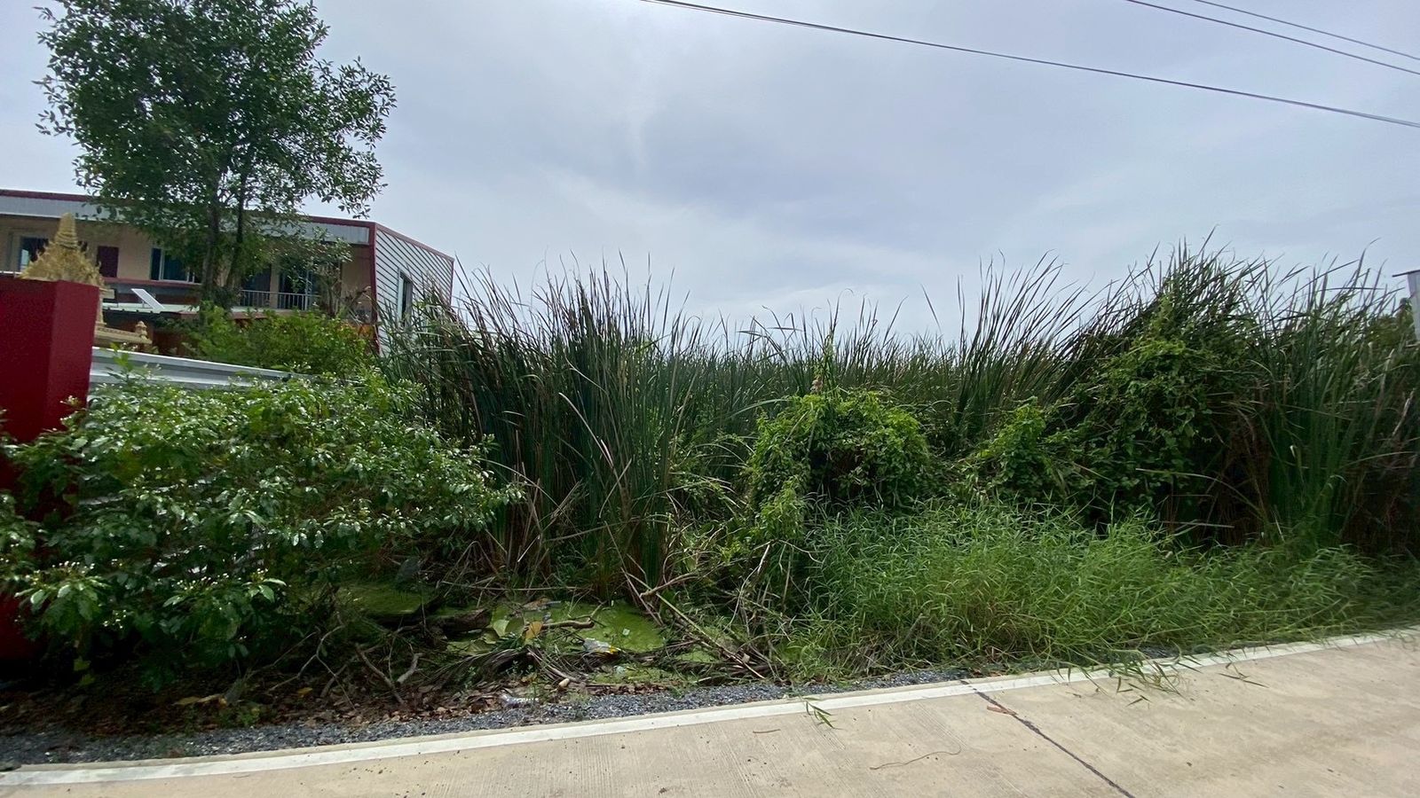 รูปภาพสินค้า