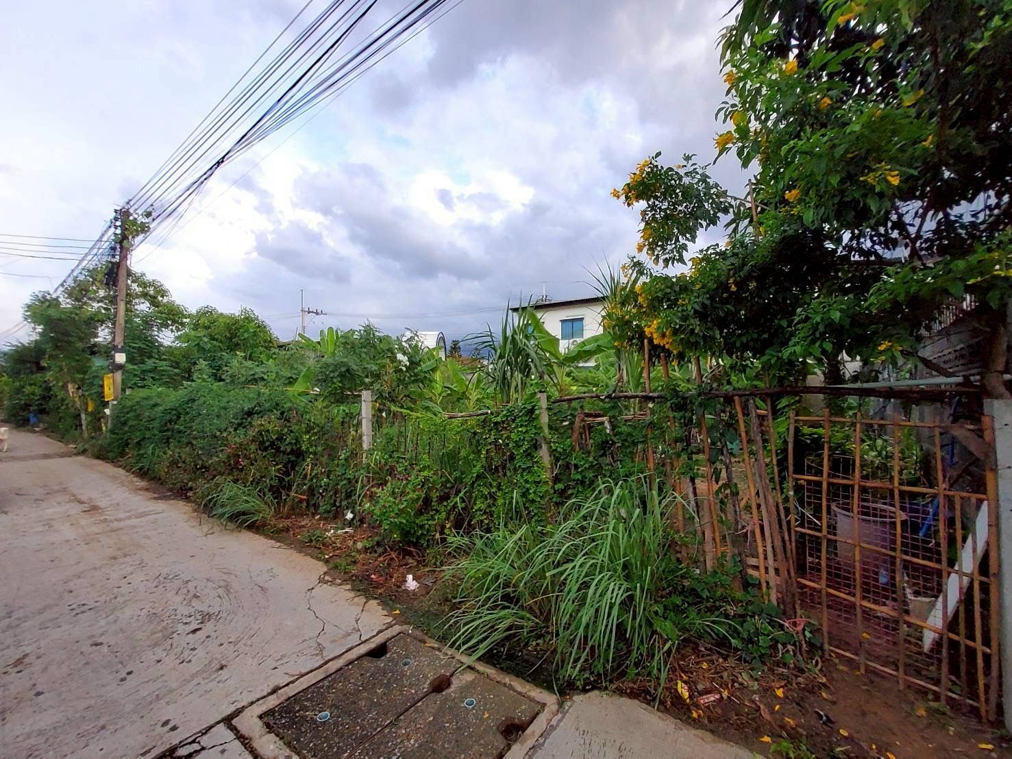 รูปภาพสินค้า