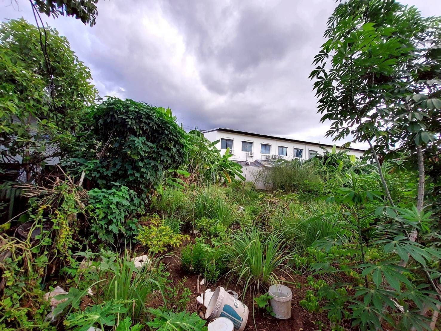 รูปภาพสินค้า