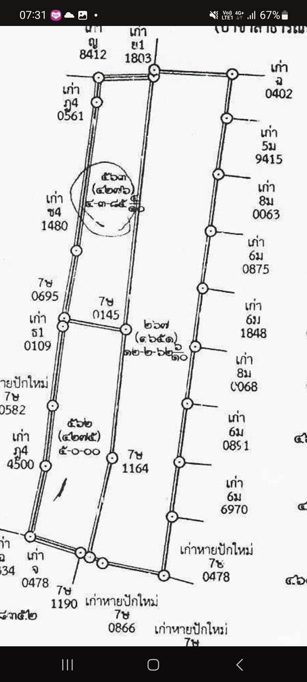 รูปภาพสินค้า