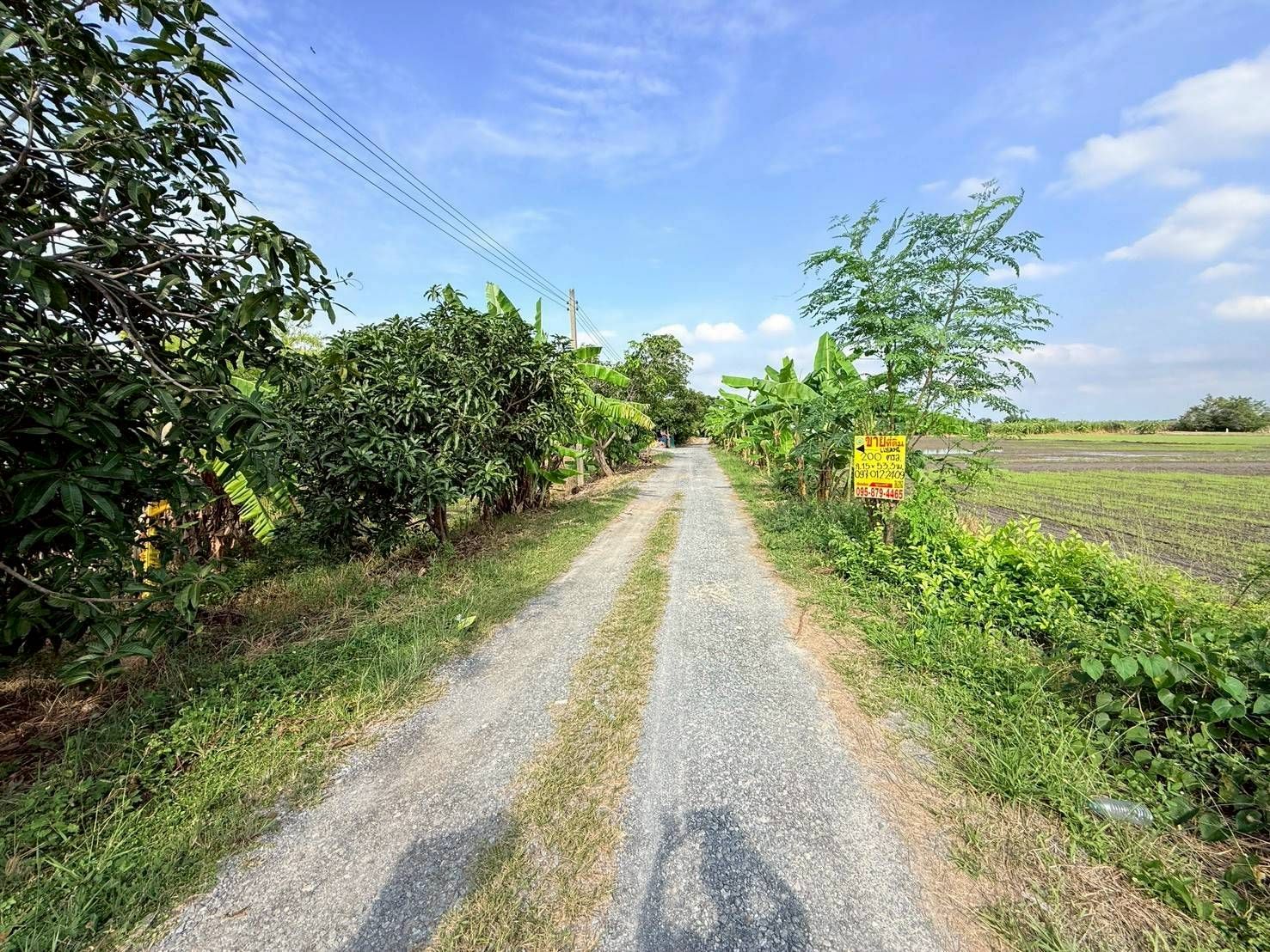 รูปภาพสินค้า