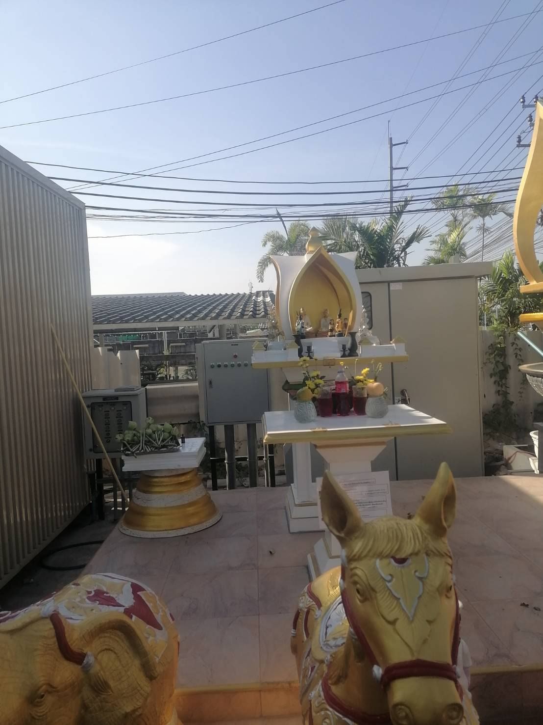 รูปภาพสินค้า