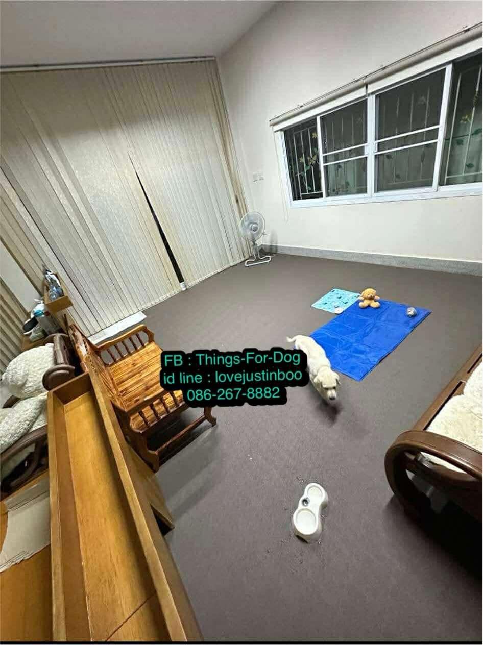 รูปภาพสินค้า