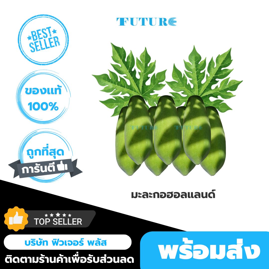 รูปภาพสินค้า