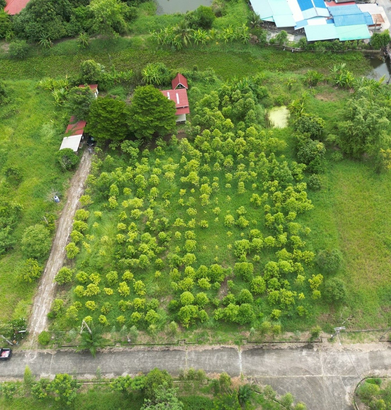 รูปภาพสินค้า