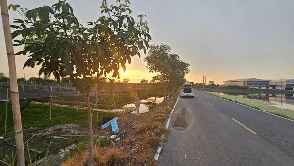 รูปภาพสินค้า