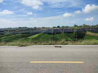 ขายที่ดิน 4 ไร่ 135 ตารางวา อ.ไทรน้อย จ.นนทบุรี หน้ากว้าง