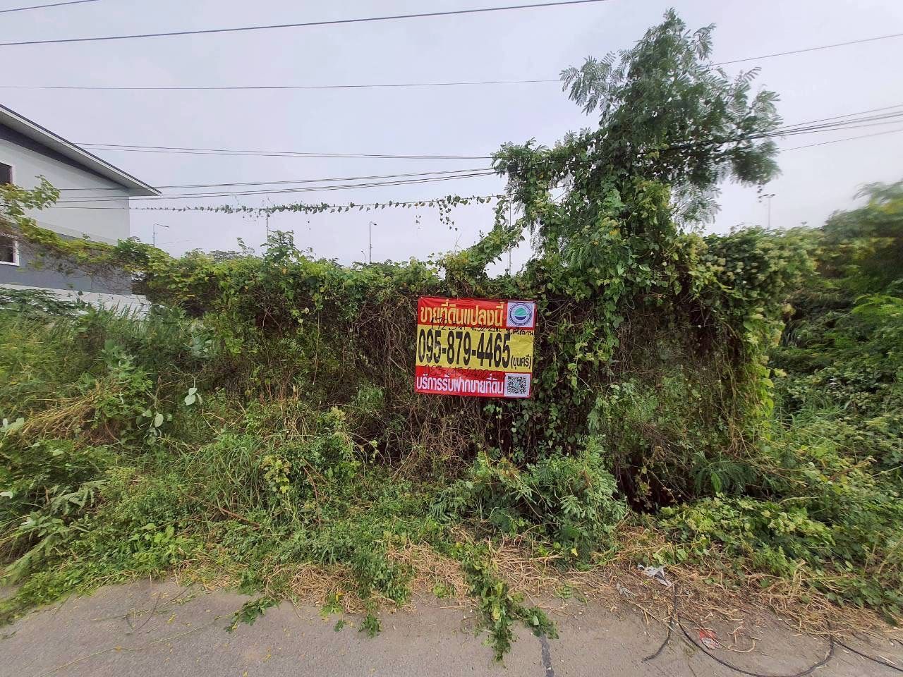 รูปภาพสินค้า