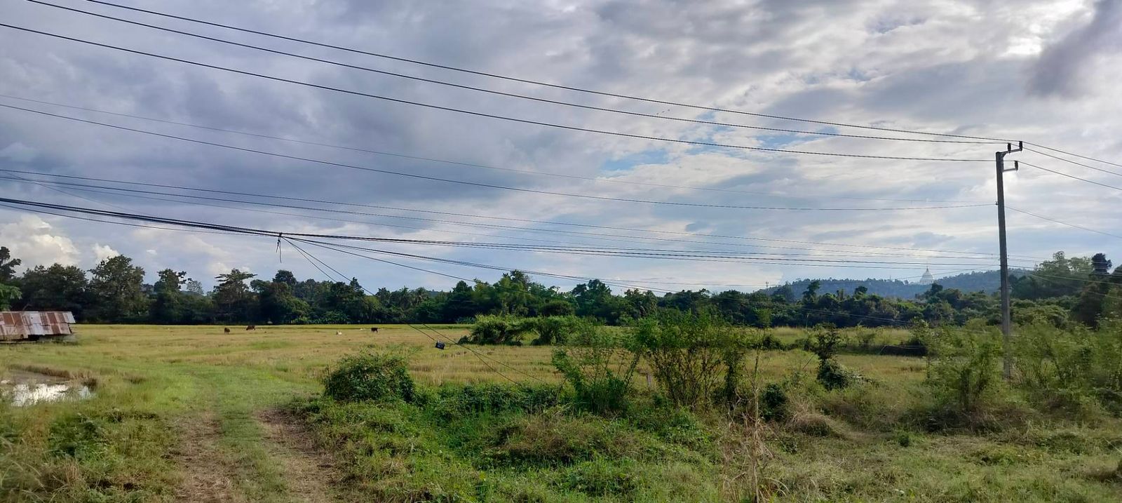 รูปภาพสินค้า