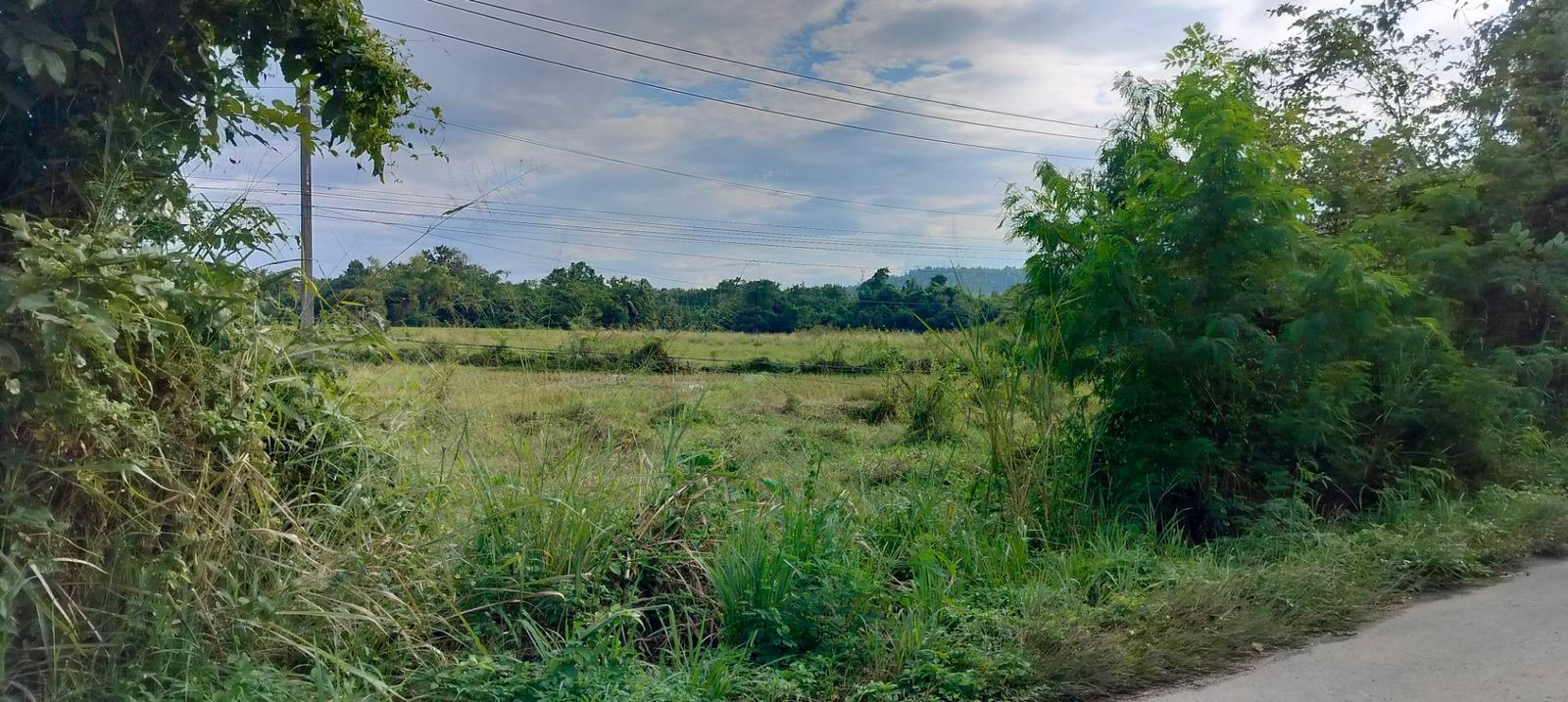 รูปภาพสินค้า