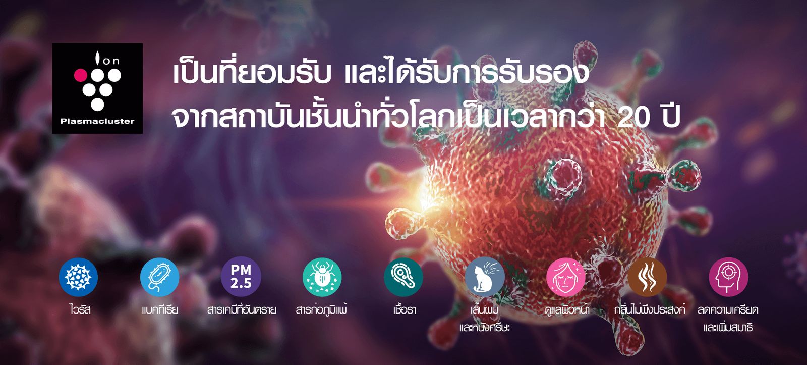 รูปภาพสินค้า